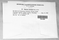 Image Associated With the Occurence